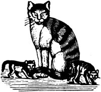 CAT016F.TIF