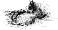 CAT016D.TIF