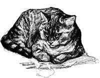 CAT016C.TIF