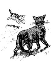 CAT016B.TIF