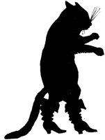 CAT016A.TIF