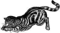 CAT015J.TIF