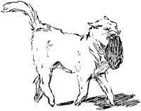 CAT015I.TIF