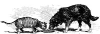 CAT015E.TIF