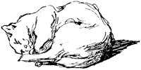 CAT015D.TIF