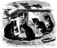 CAT015C.TIF