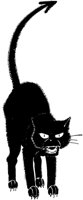 CAT015A.TIF
