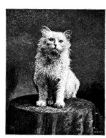 CAT014J.TIF