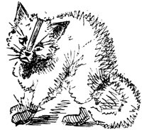 CAT014I.TIF
