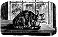 CAT014H.TIF