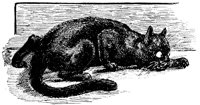 CAT014F.TIF