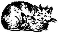 CAT014C.TIF