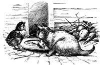 CAT013D.TIF