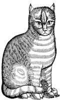 CAT013C.TIF