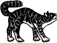 CAT013A.TIF