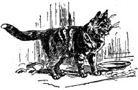 CAT012M.TIF