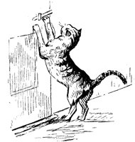 CAT012K.TIF