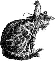 CAT012J.TIF