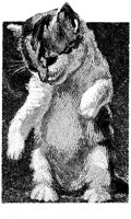 CAT012G.TIF