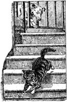 CAT012F.TIF