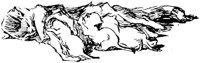 CAT012C.TIF