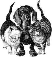 CAT011H.TIF