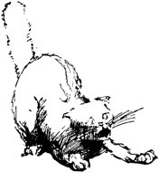 CAT011D.TIF