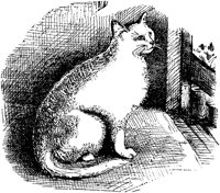 CAT010L.TIF