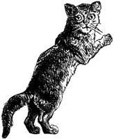 CAT010J.TIF