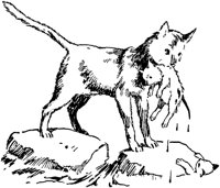 CAT010H.TIF