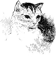 CAT010G.TIF