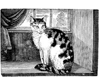 CAT010F.TIF