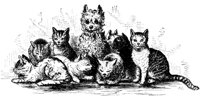 CAT010E.TIF