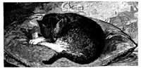 CAT010C.TIF