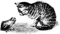 CAT010B.TIF