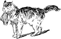 CAT009F.TIF