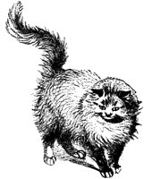 CAT009E.TIF
