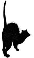 CAT008I.TIF