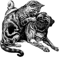 CAT008H.TIF