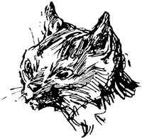 CAT008G.TIF