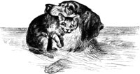 CAT008F.TIF