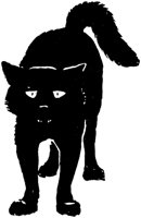 CAT008E.TIF