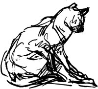 CAT008C.TIF