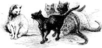 CAT008B.TIF