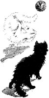 CAT007J.TIF