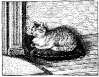 CAT007I.TIF