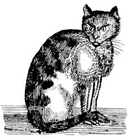 CAT007H.TIF