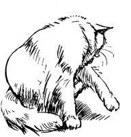 CAT007F.TIF