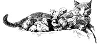 CAT007D.TIF