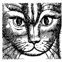 CAT007C.TIF